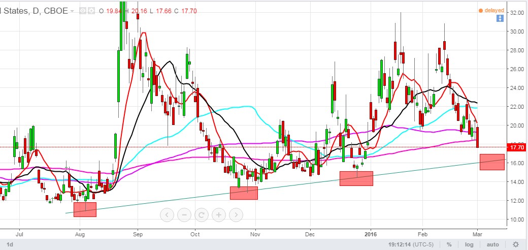 vix.jpg