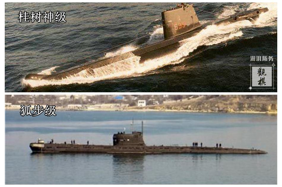 455.jpg