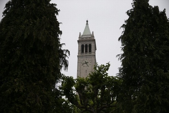 photo (15).jpg
