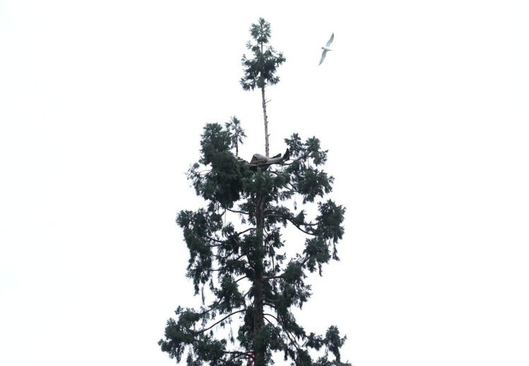 photo (15).jpg