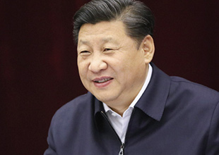 a559.jpg