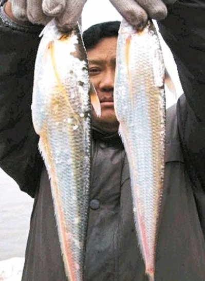 photo.jpg
