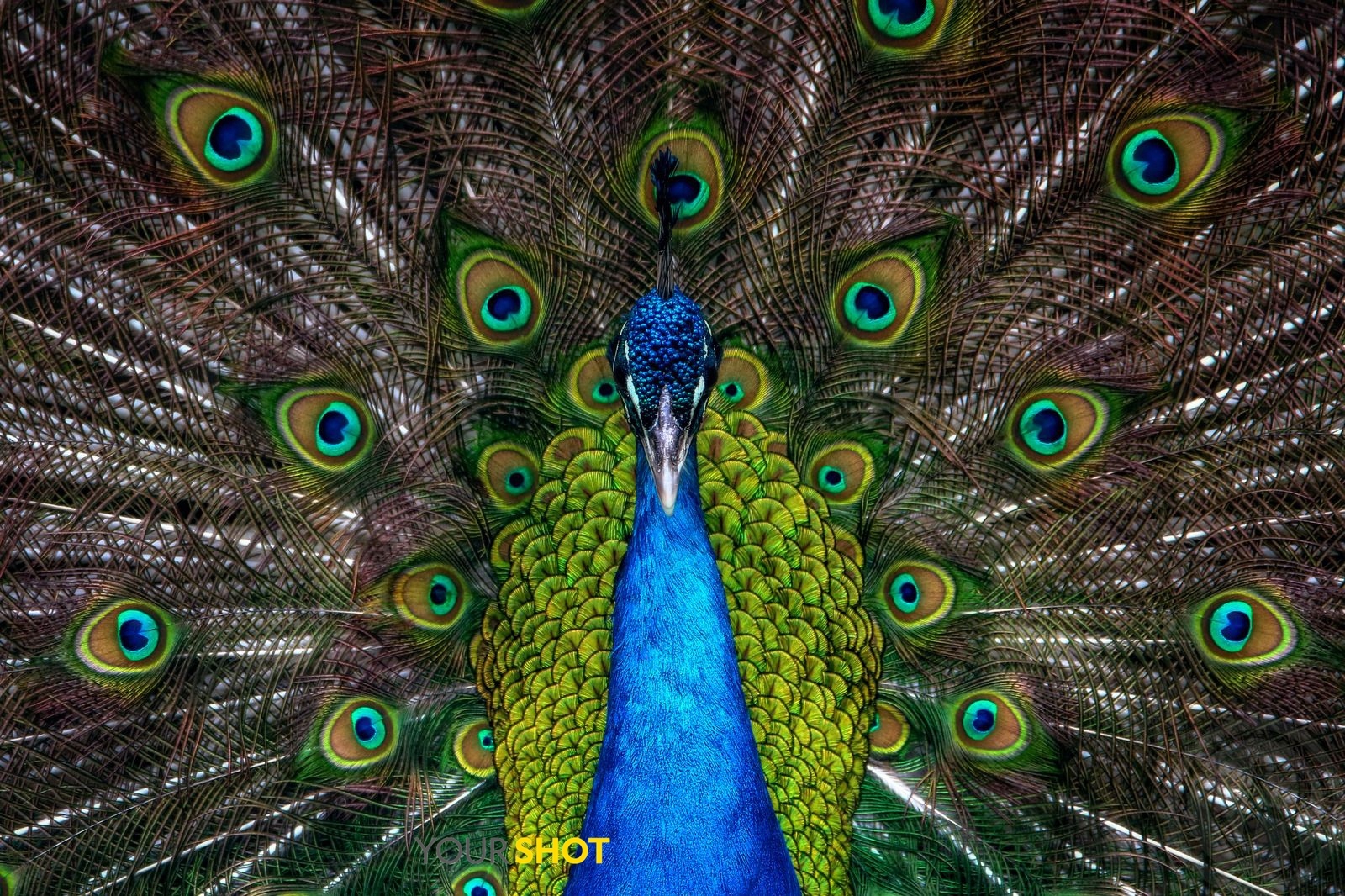 8-5-compressed.jpg