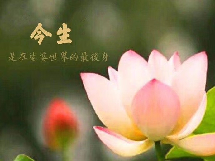 WeChat Image_20180806085214.jpg