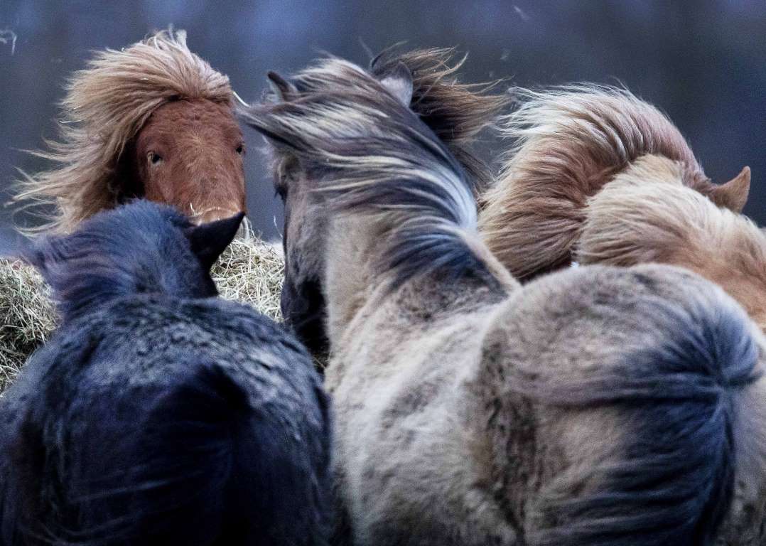 26.jpeg