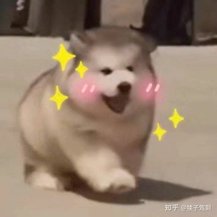 B6E5A2E7-03A5-4C11-B5CC-2E8020DA2BED.jpeg