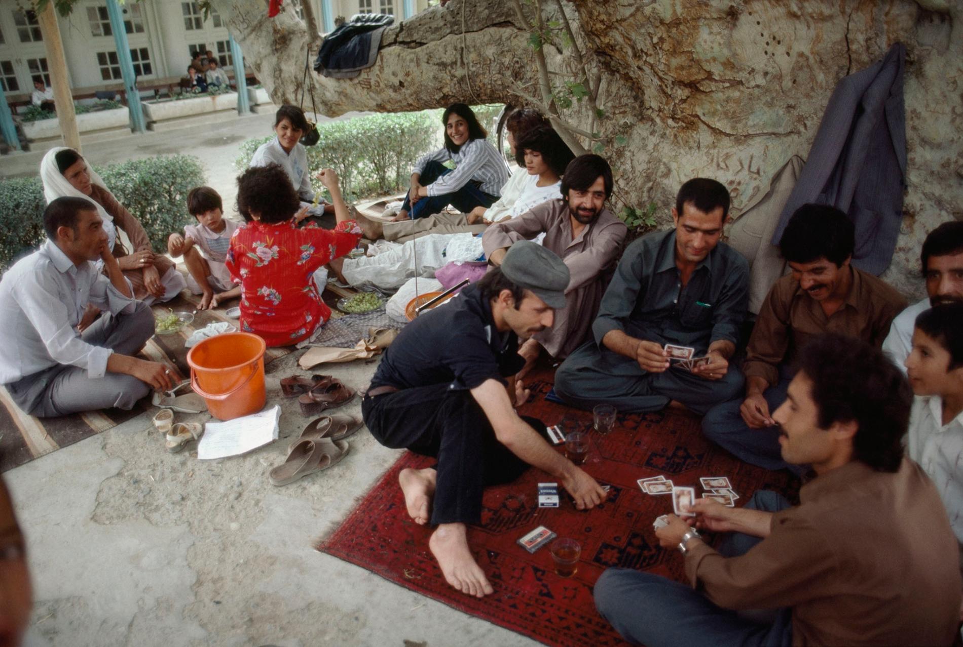 08-04-2020-nationalgeographic_421225.ngsversion.1585512018459.adapt.1900.1.jpg