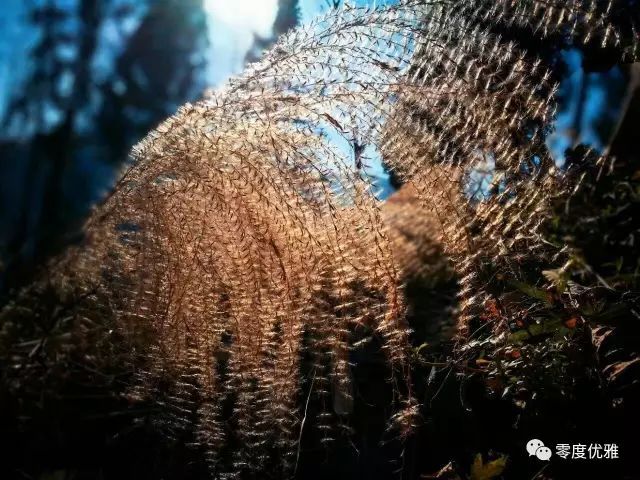 451344D4-1AF7-41A5-A5FB-9CADC275AD96.jpeg