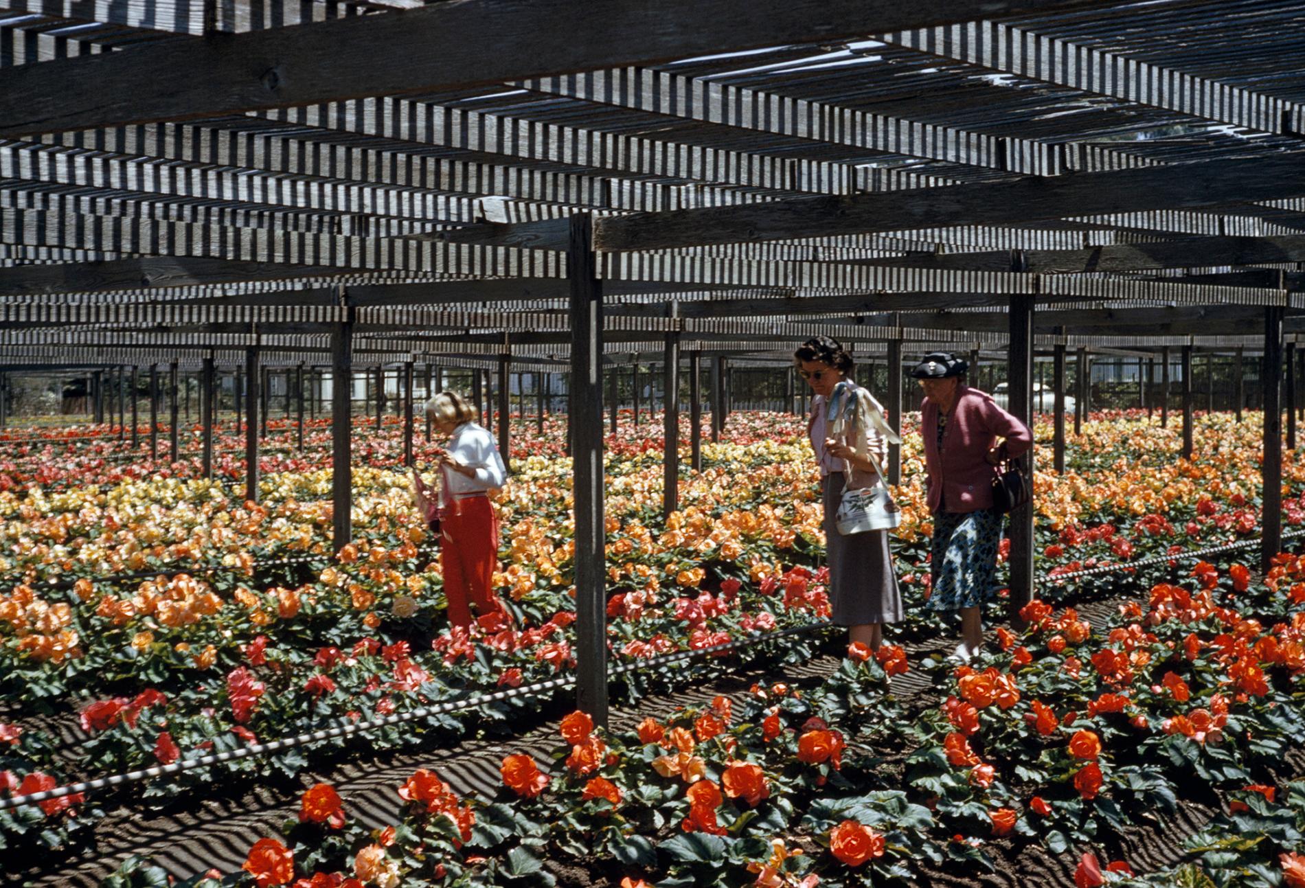pod-10-05-2020-nationalgeographic_1096707.ngsversion.1588259464551.adapt.1900.1.jpg