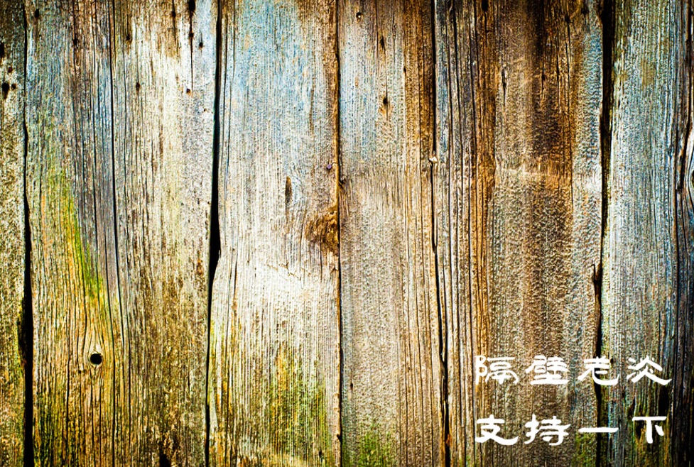 老淡11.jpg