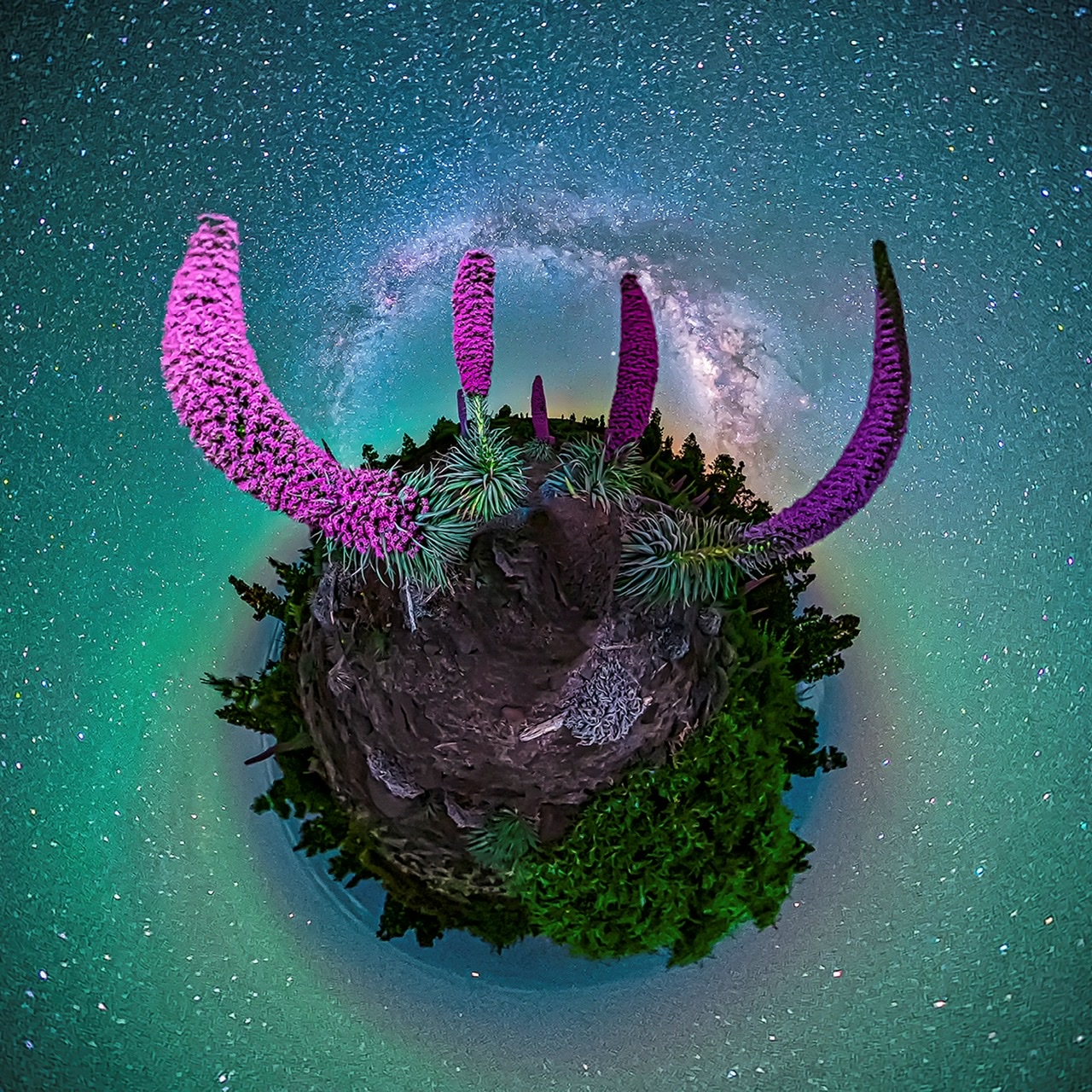 D43C353B-CE0C-4242-A1AE-CE9E2556222F.jpeg