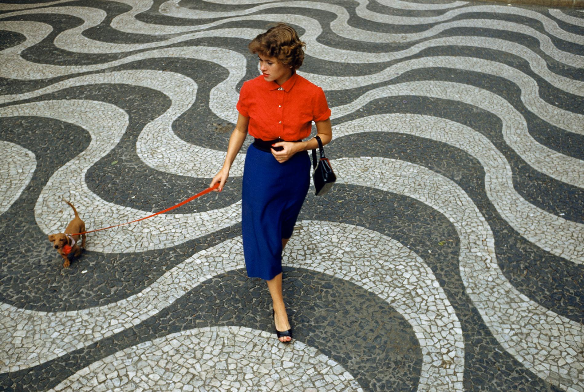 pod-30-05-2020-nationalgeographic_940384.ngsversion.1590173622921.adapt.1900.1.jpg