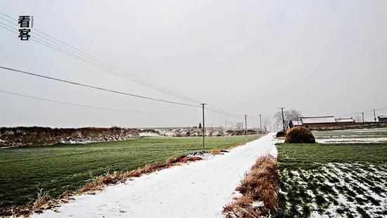 14.jpg