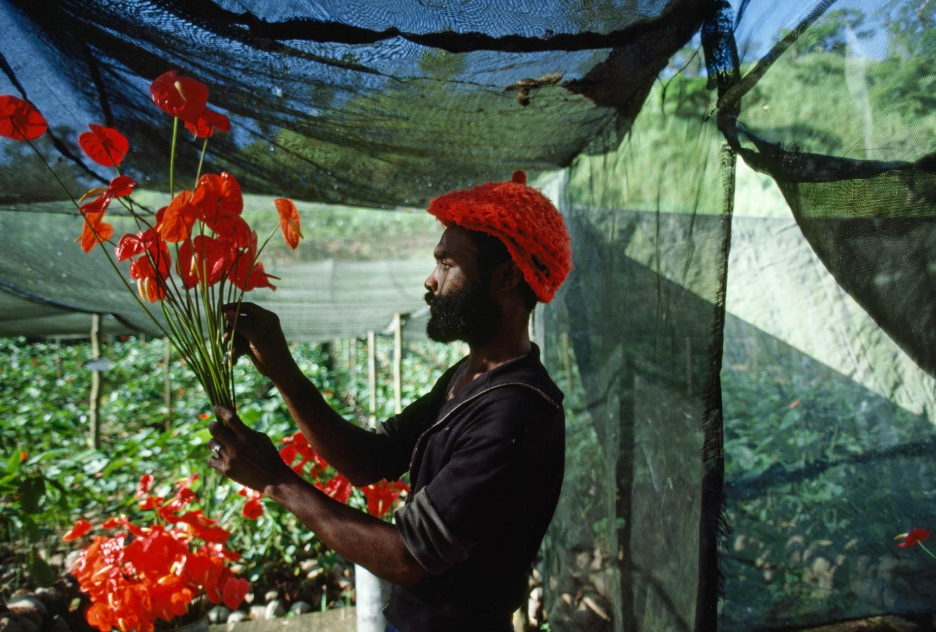 pod-13-07-2020_nationalgeographic_20396.ngsversion.1592864982430.adapt.1900.1.jpg