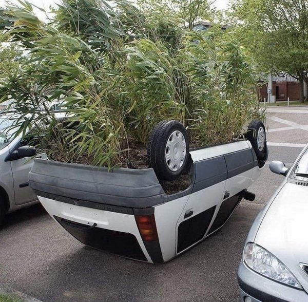 1596023147_daily_picdump_006499_009.jpg