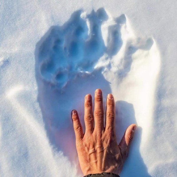 1596023182_daily_picdump_006499_019.jpg