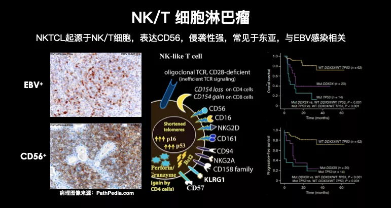 CDCA9D06-842E-4873-815E-295406F79B80.png
