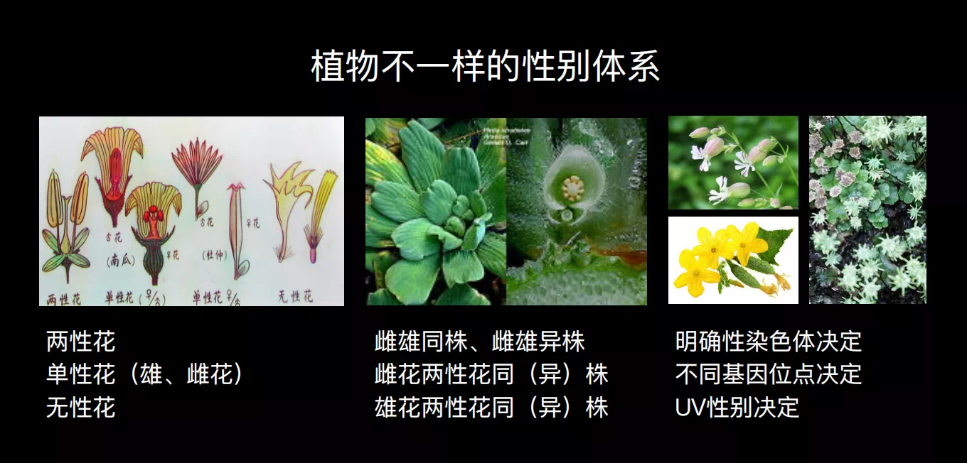 1DBECB8B-2A63-4CD1-BC11-4D16E8276038.png