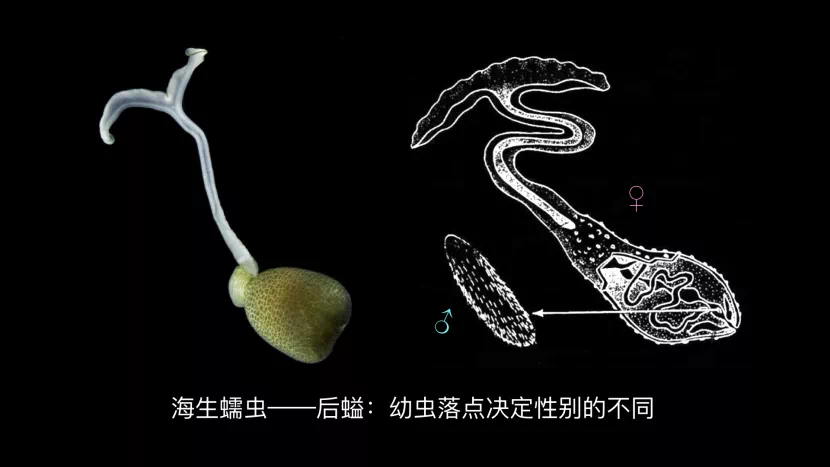 C59F3ECE-4ED1-4CA1-84C5-D78D8787123B.png