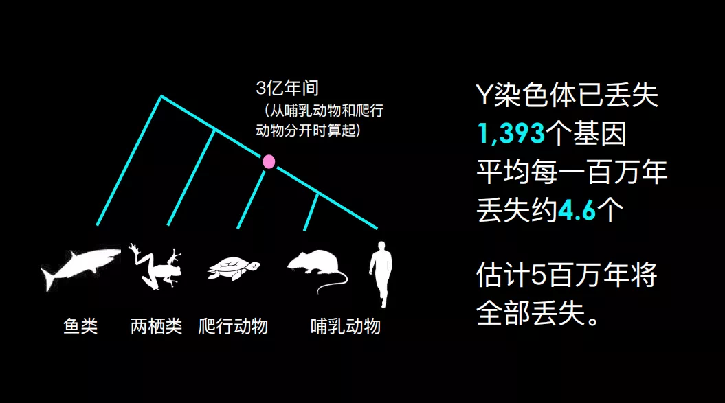 520D7B43-B8E1-441D-A21E-0E8EE85526AD.png