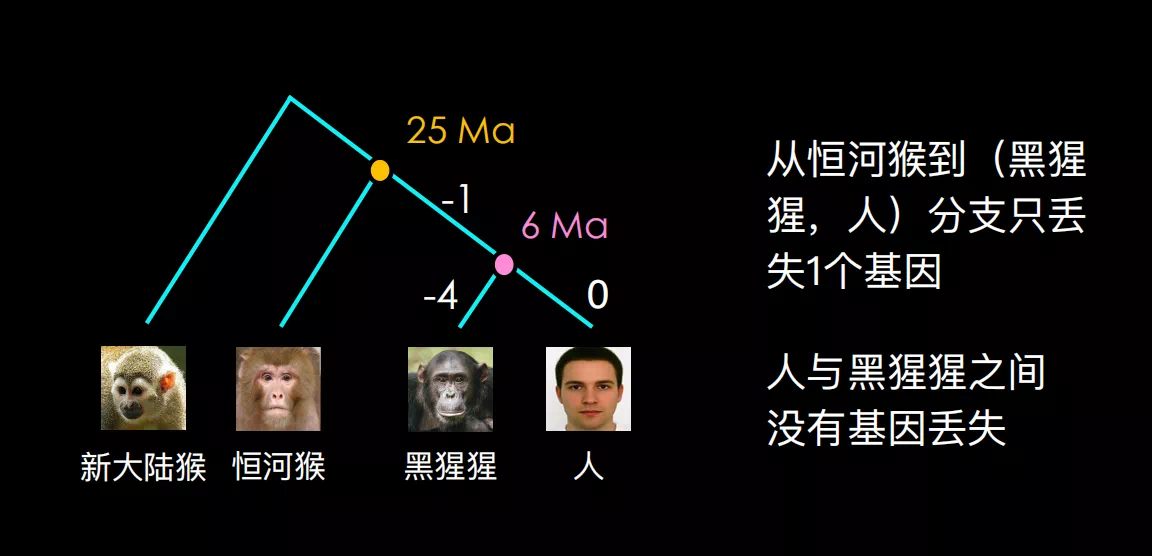 7AAC6A35-FD3D-4928-85DB-6557011B2A80.png