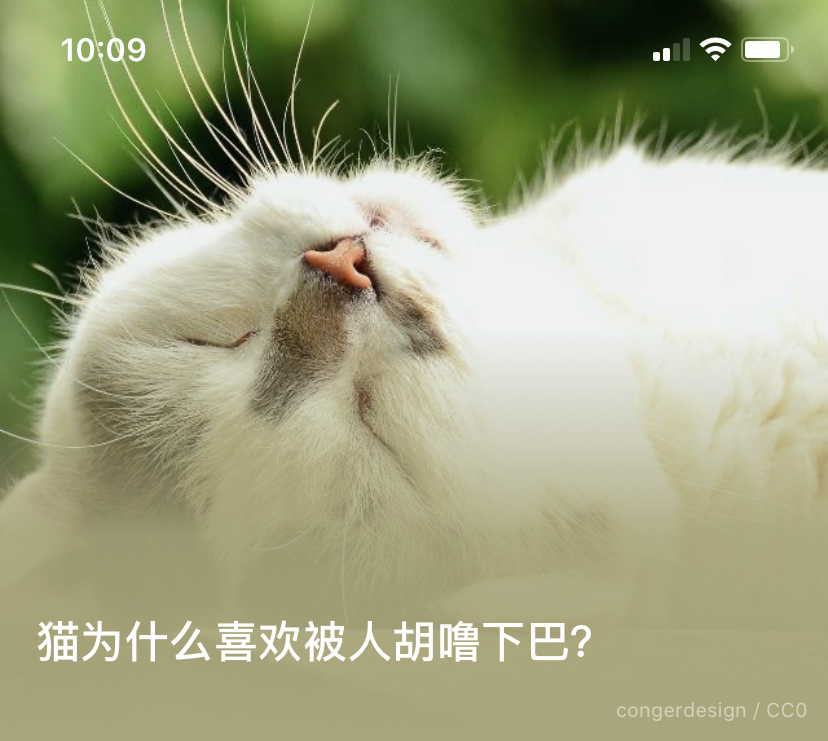 57202A9F-2D47-49AD-8D1A-3DBDE817CE11.jpeg