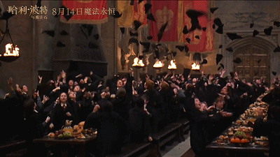 IMG_4436.GIF