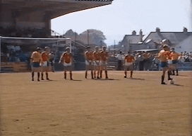 IMG_7087.GIF