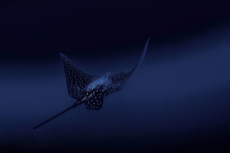 B27C0229-A977-4977-A6C2-1A8823F6F02F.jpeg