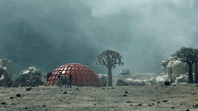 IMG_5420.GIF