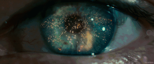 IMG_5445.GIF