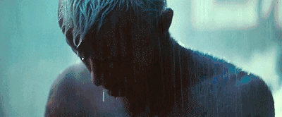 IMG_5443.GIF