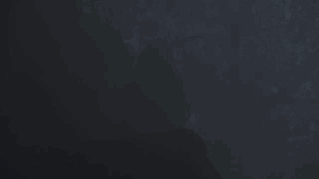 IMG_7057.GIF
