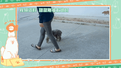 IMG_8967.GIF