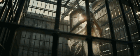IMG_0055.GIF