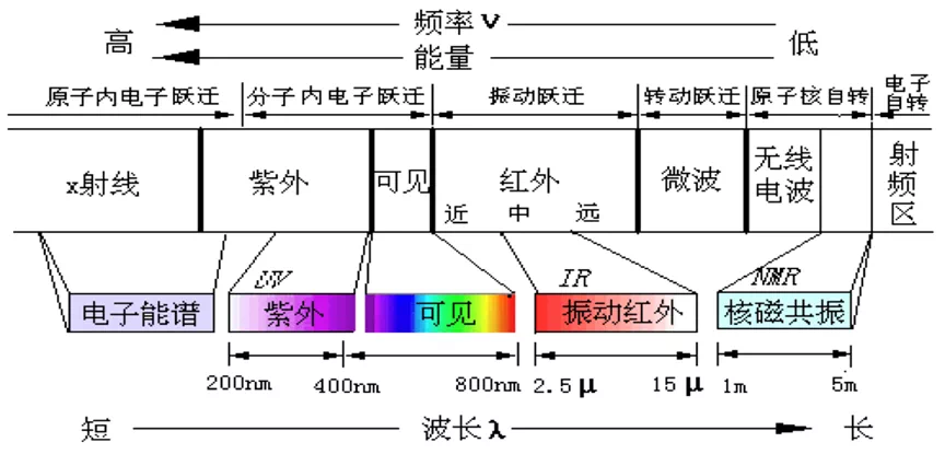 IMG_2912.PNG