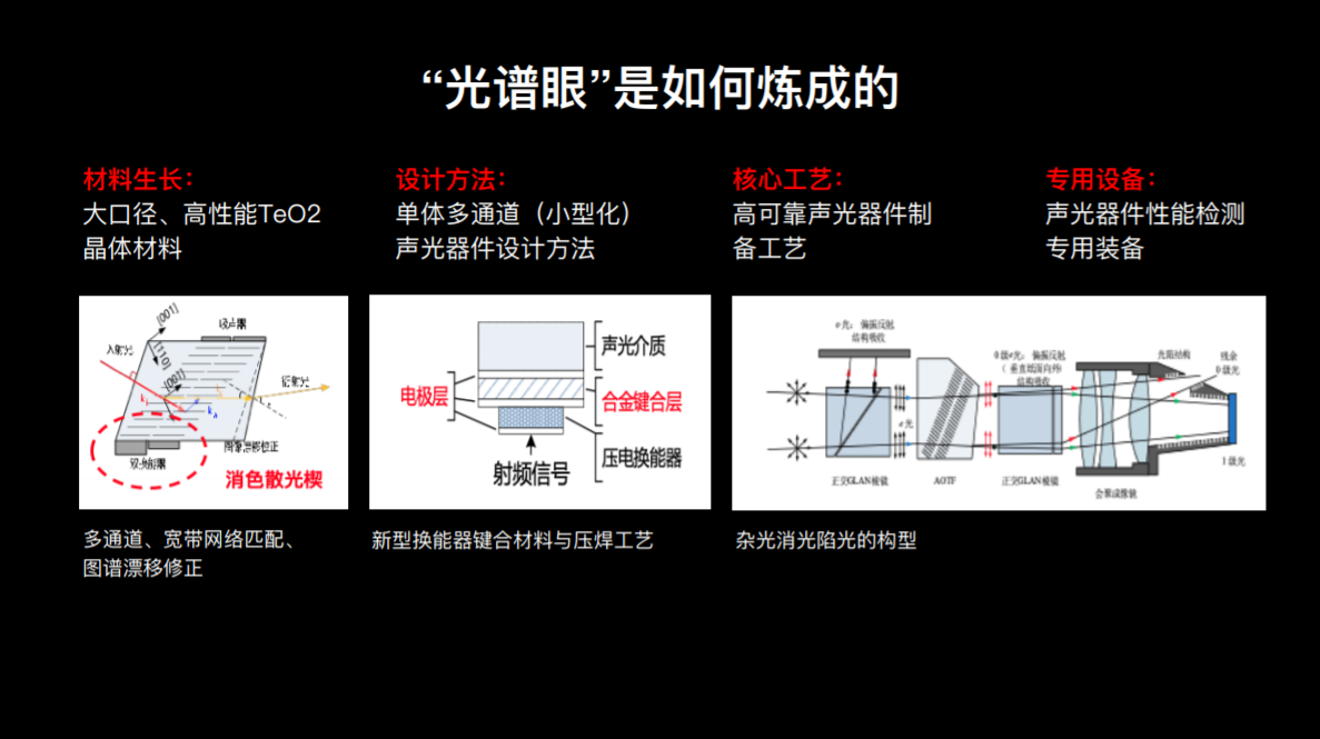 IMG_2919.PNG