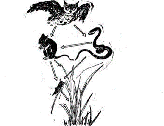 746A219B-3B77-45E1-BFBC-DBAC584CE2DD.png