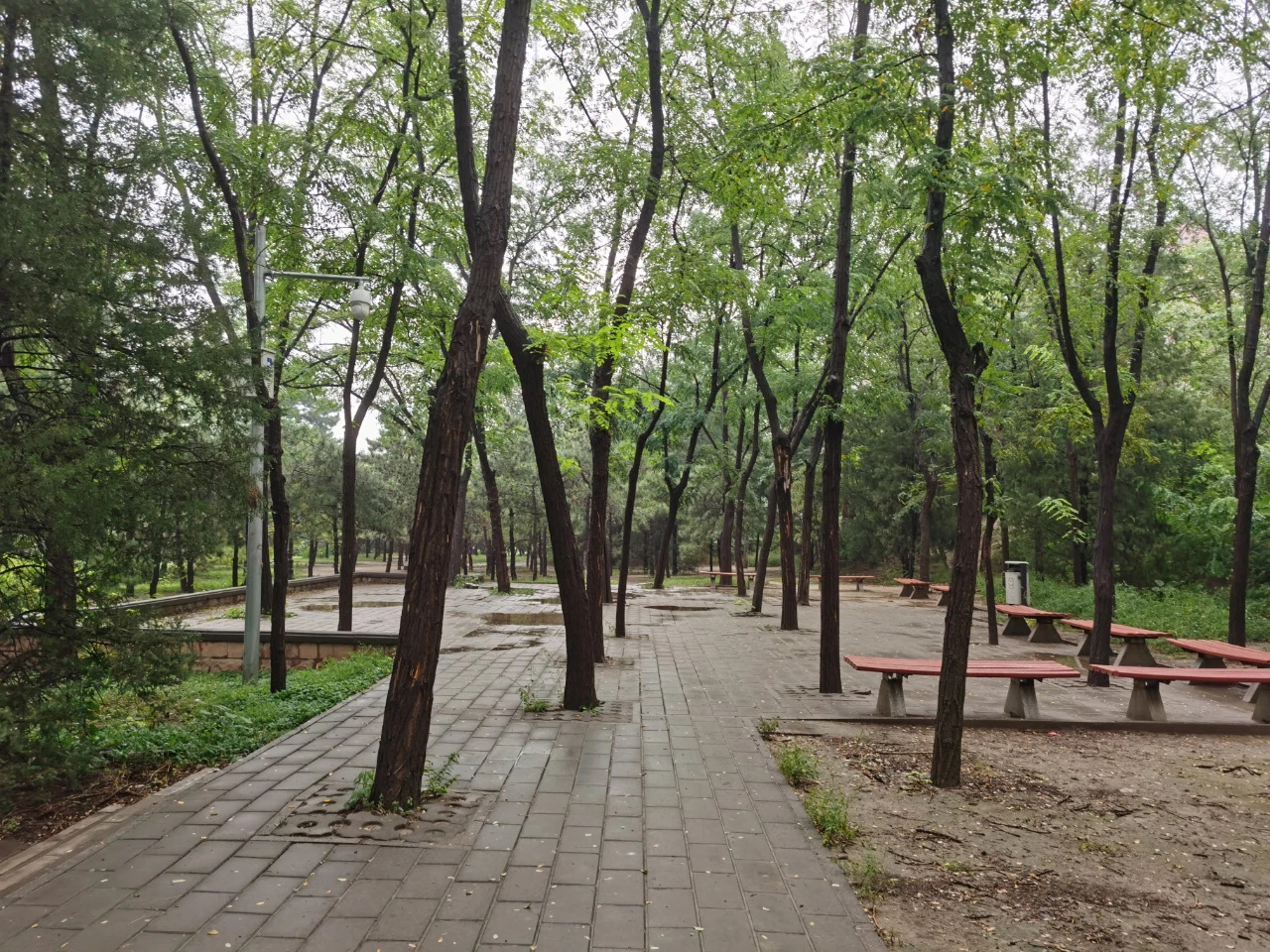 8909857E-D768-4707-89CE-9F76D1362E03.jpeg
