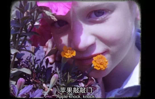 IMG_6792.PNG