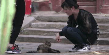 IMG_7332.GIF