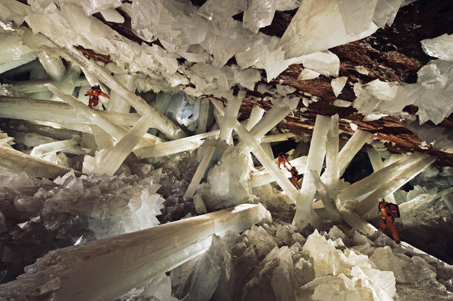 pod-18-10-2020_nationalgeographic_1191533.ngsversion.1601081798059.adapt.1900.1.jpg