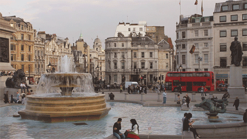 IMG_4181.GIF