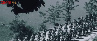 IMG_4331.GIF