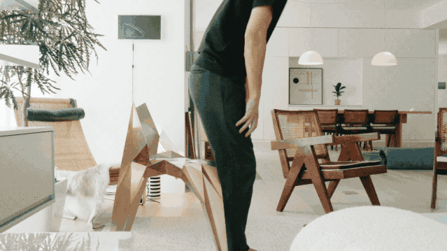 IMG_5956.GIF