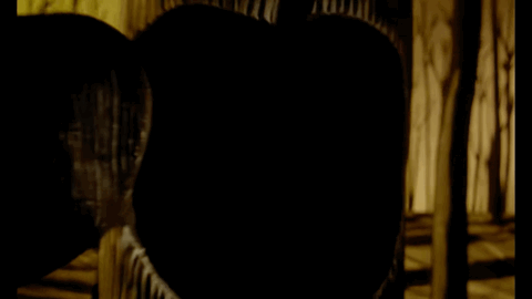 IMG_1344.GIF