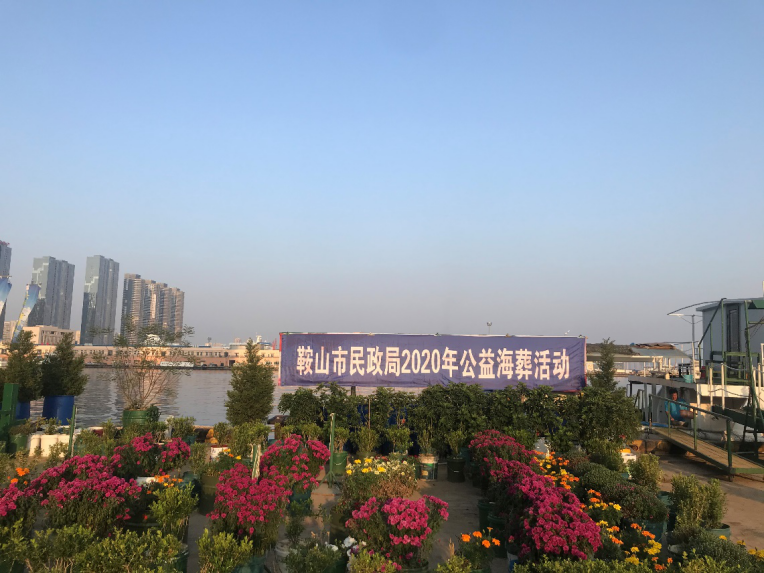 IMG_2506.PNG