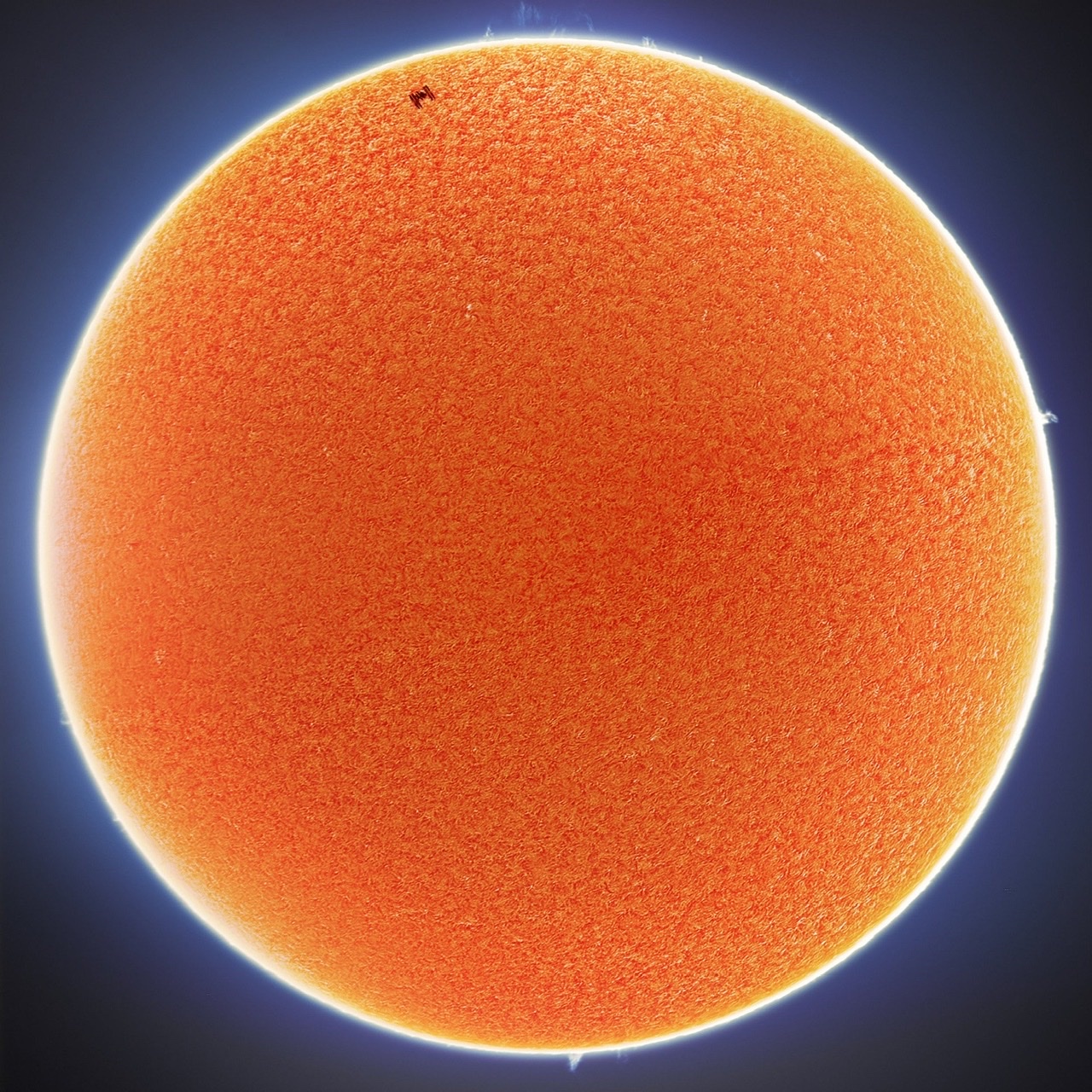 D3FCF99A-8A68-4CF0-845F-6621B574CCF3.jpeg