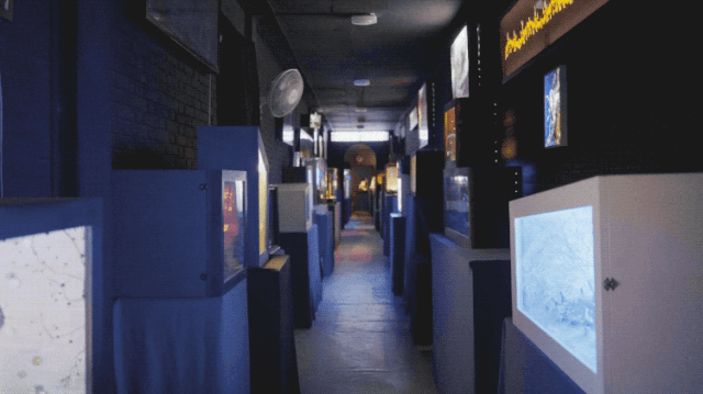 IMG_2609.GIF