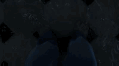 IMG_8276.GIF